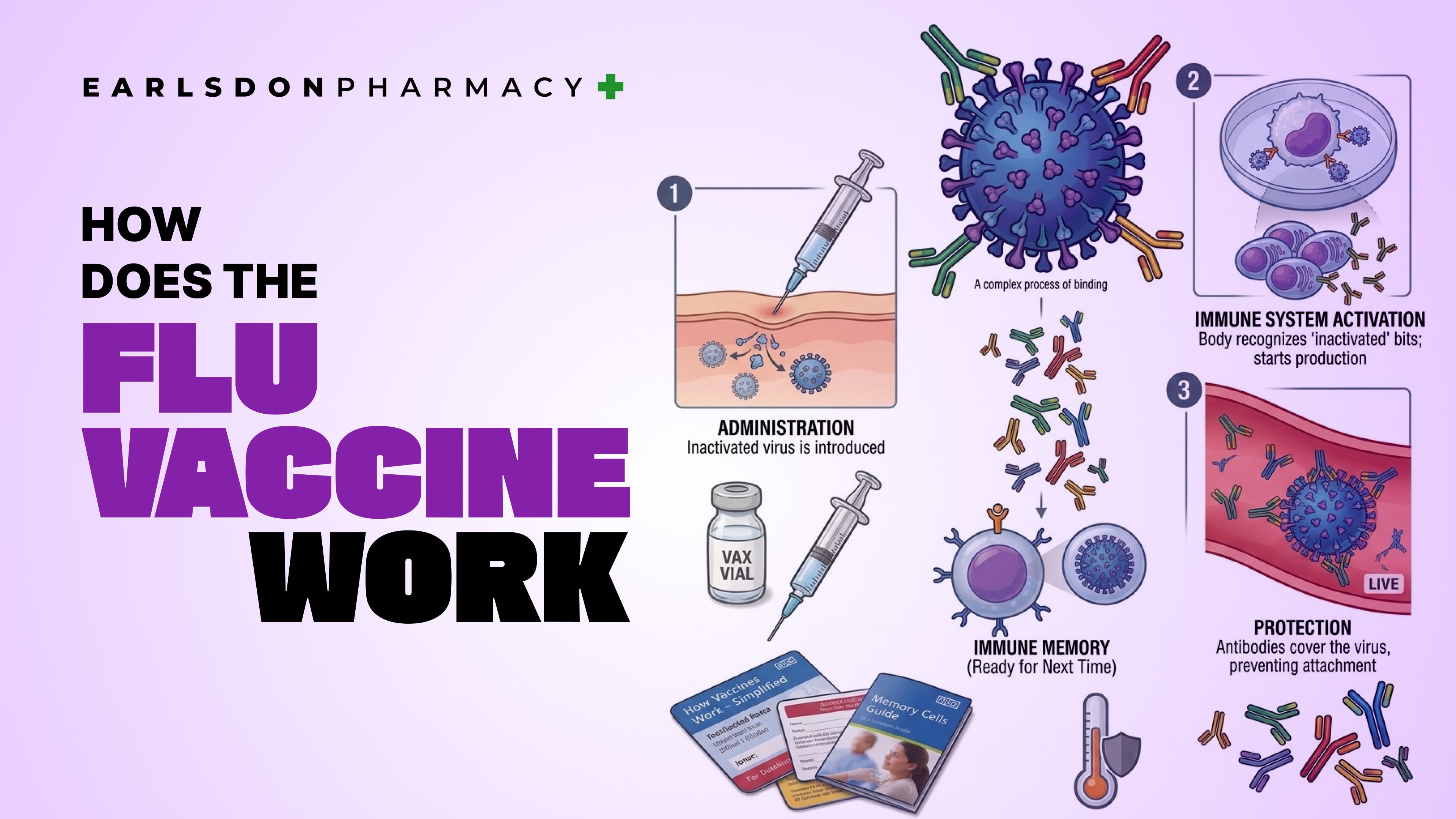 How Does the Flu Vaccine Work? A Complete Guide